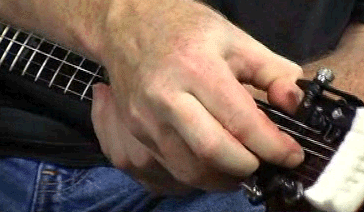 bending behind the nut.gif
